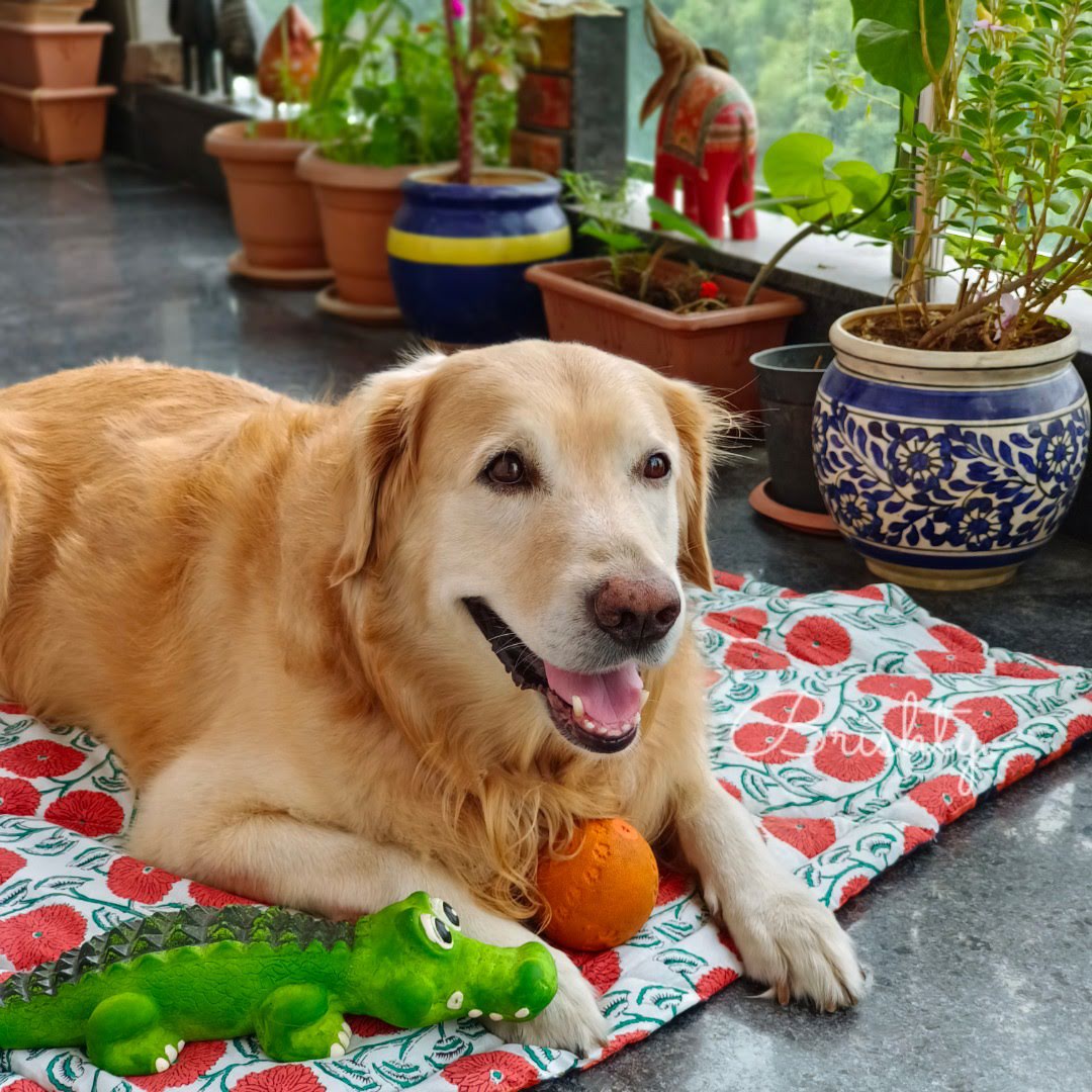 Reversible hand printed floral dog lounge mat