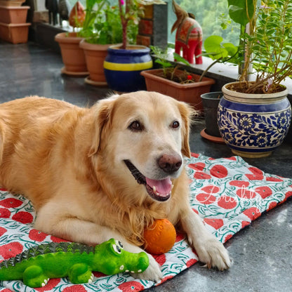 Reversible hand printed floral dog lounge mat