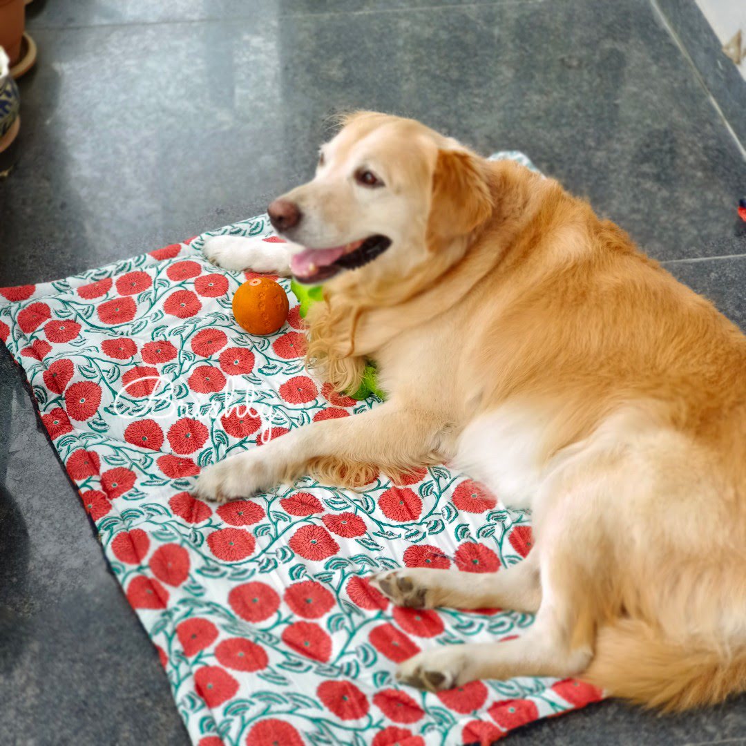 Reversible hand printed floral dog lounge mat