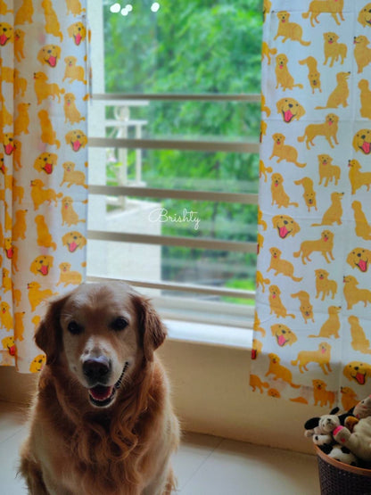 Dog parent golden retriever curtains