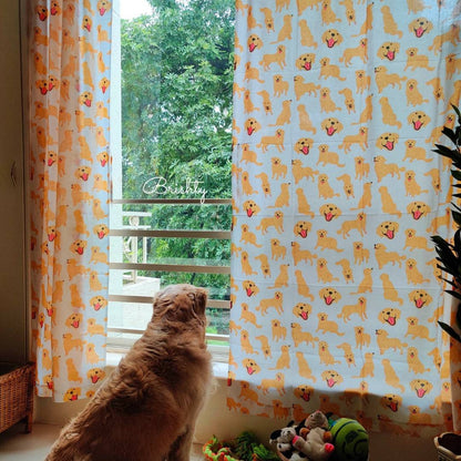 Dog parent golden retriever curtains