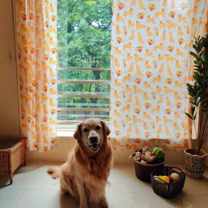 Dog parent golden retriever curtains